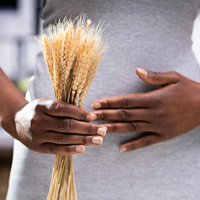 Better for gluten-sensitive individuals - Organic Wheat Flour Delhi