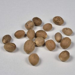 Nutmeg : Aromatic Spice Nutmeg