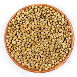 Coriander Seeds : Aromatic and Flavorful Spice