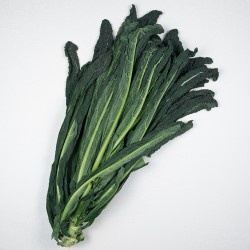 Brown Kale