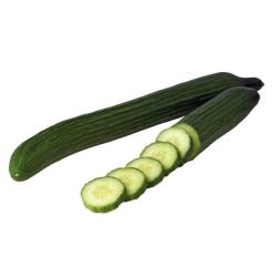 English Cucumber (Seedless)