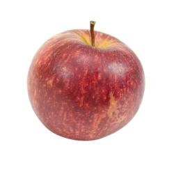 Ugly Harvest Apple