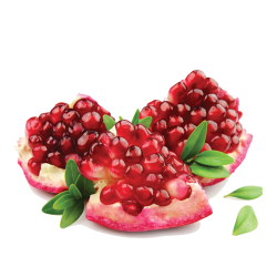 Pomegranate (Peeled)
