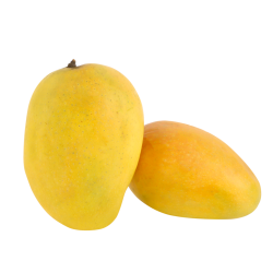 Mango Safeda