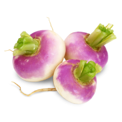 Turnip (Shalgam)