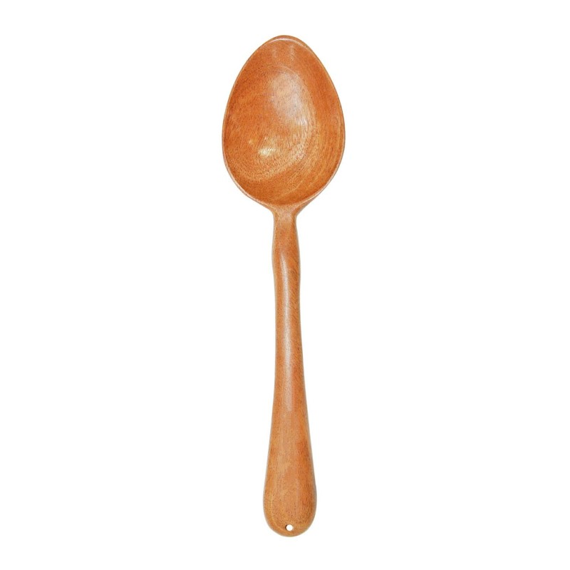 Cooking/ Serving Spoon (Type 1)