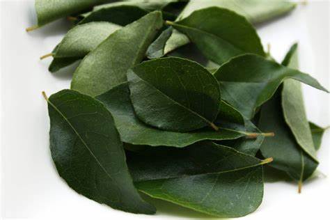 Curry Leaves (Kadhi Patta)