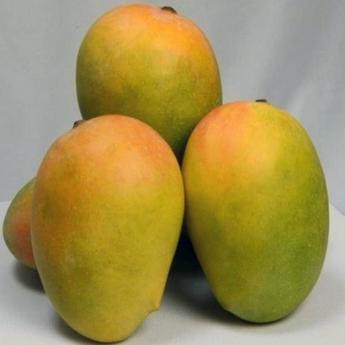Mango Kesar  