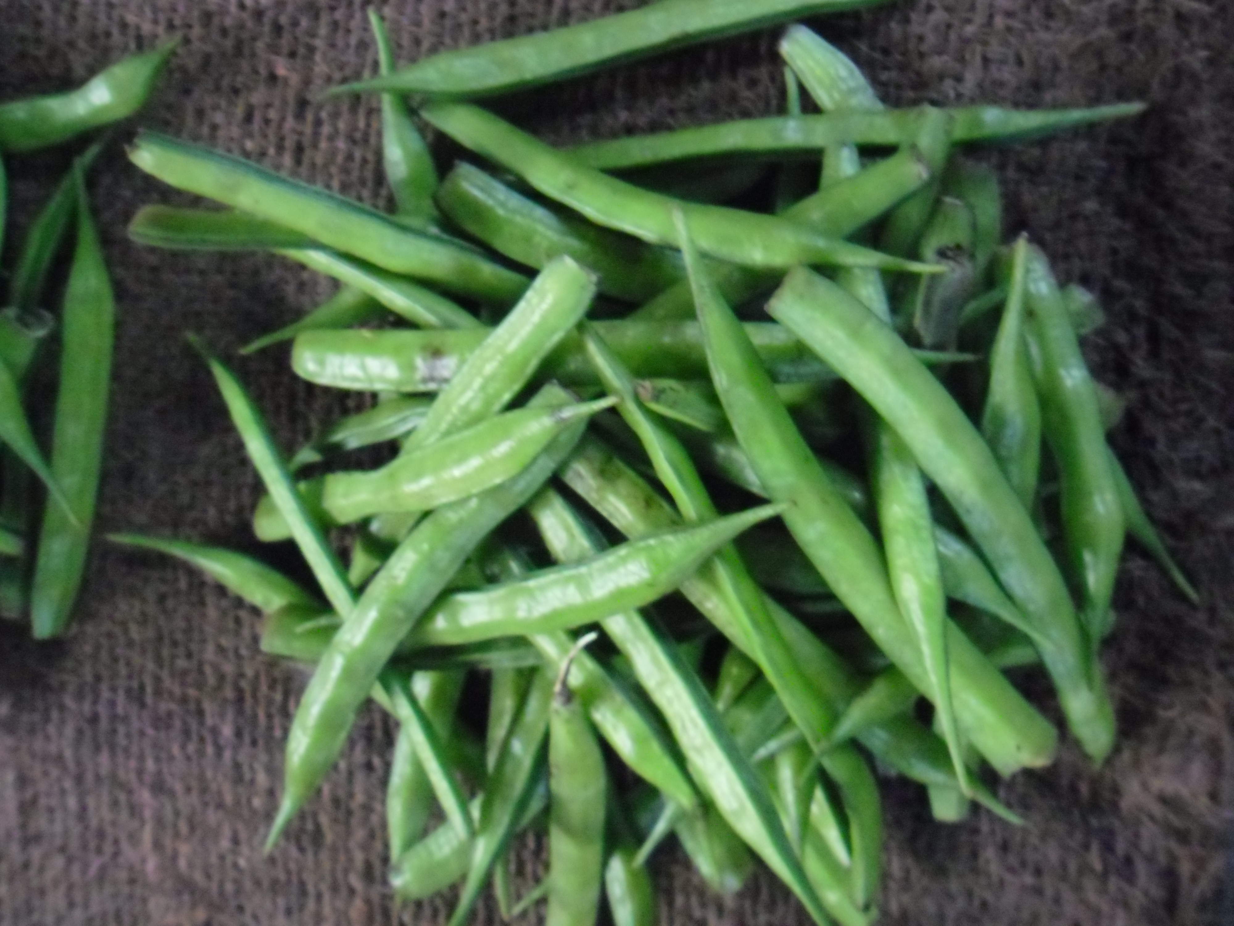 Cluster Beans (Guar Phali)