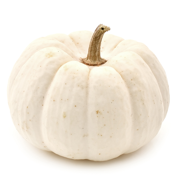White Pumpkin (Cut Piece)